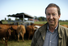 Fernando Bruno Crestani destaca que as casas ecológicas são tendência que une sustentabilidade e valorização imobiliária.