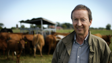 Fernando Bruno Crestani destaca que as casas ecológicas são tendência que une sustentabilidade e valorização imobiliária.