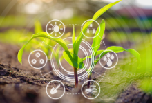 João Eustáquio De Almeida Junior analisa como a biodiversidade na agricultura pode impulsionar o crescimento sem comprometer o meio ambiente.