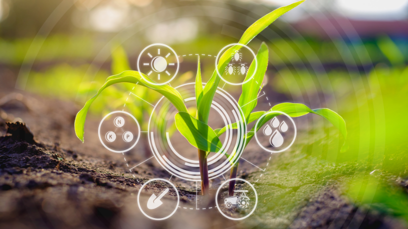 João Eustáquio De Almeida Junior analisa como a biodiversidade na agricultura pode impulsionar o crescimento sem comprometer o meio ambiente.